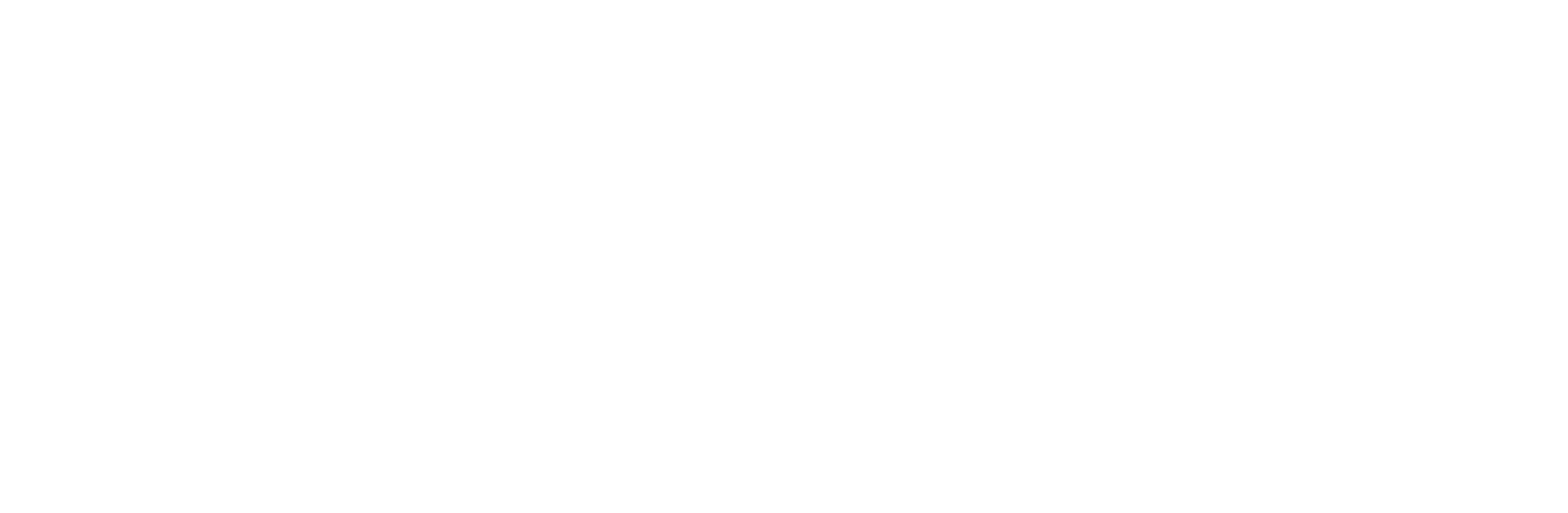 white ninja excel logo