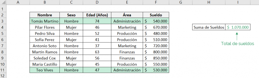 Resultado que obtenemos de función SUMAR.SI.CONJUNTO de Excel en un ejemplo con comdines