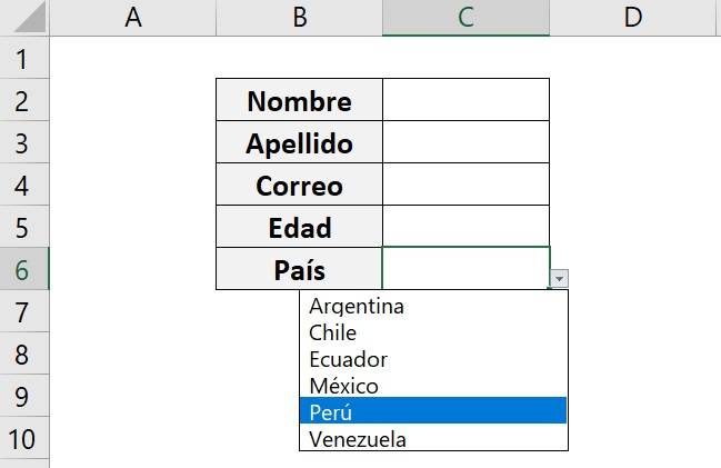 Crear lista desplegable en Excel muestra el menú de opciones creado