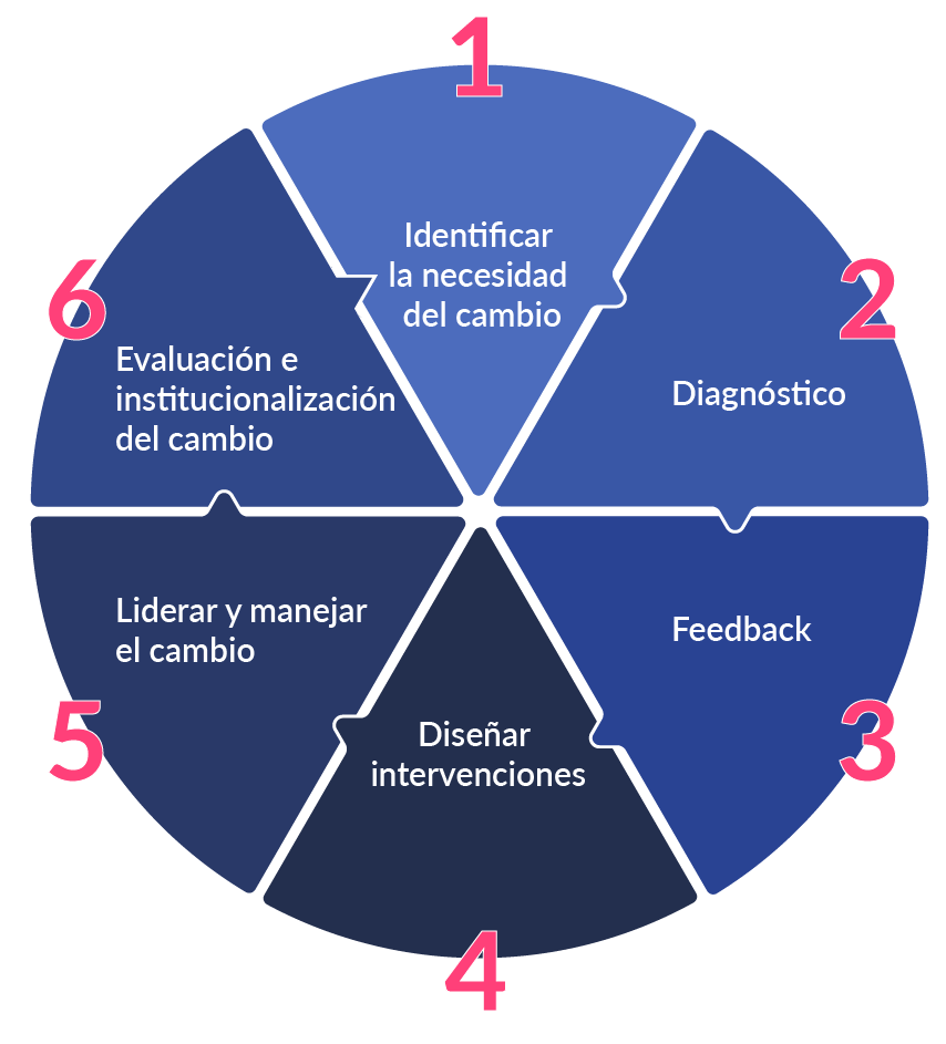 Wheel that explains organizational development in summary. 