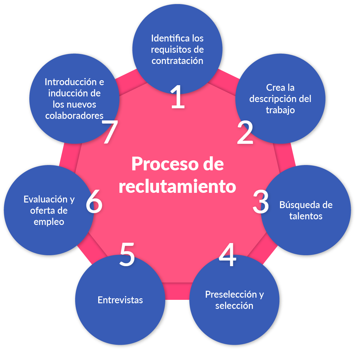 Paso a paso del proceso de reclutamiento