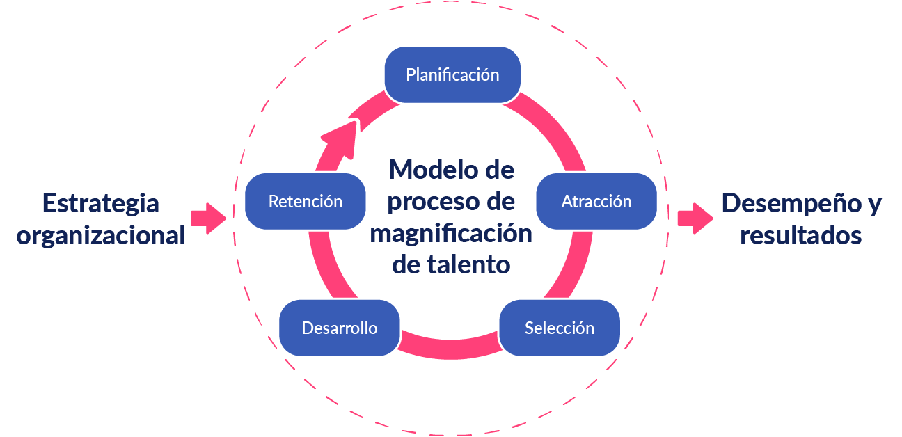 Descubre aquí el proceso de gestión del talento humano 