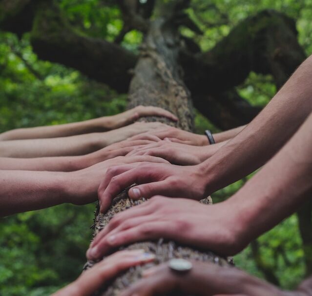 Metáfora de Responsabilidad Social Empresarial Ambiental